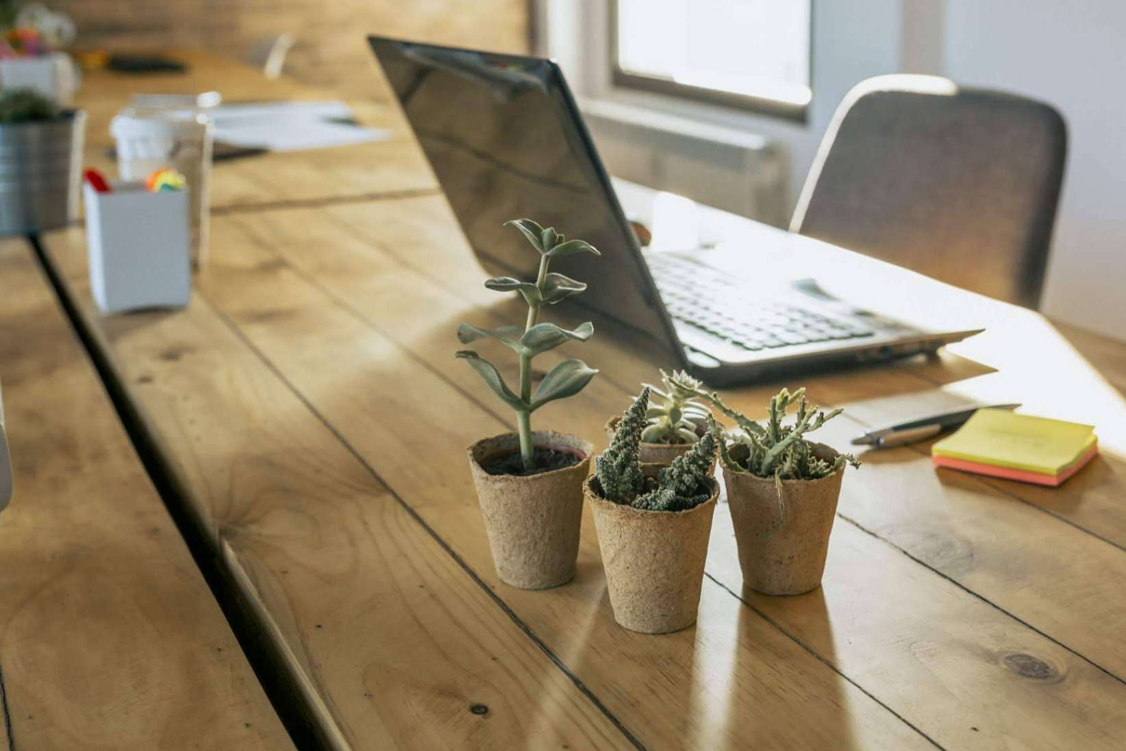 Impulsar la imagen de marca y la conciencia ecológica con los productos de Másqueunboli