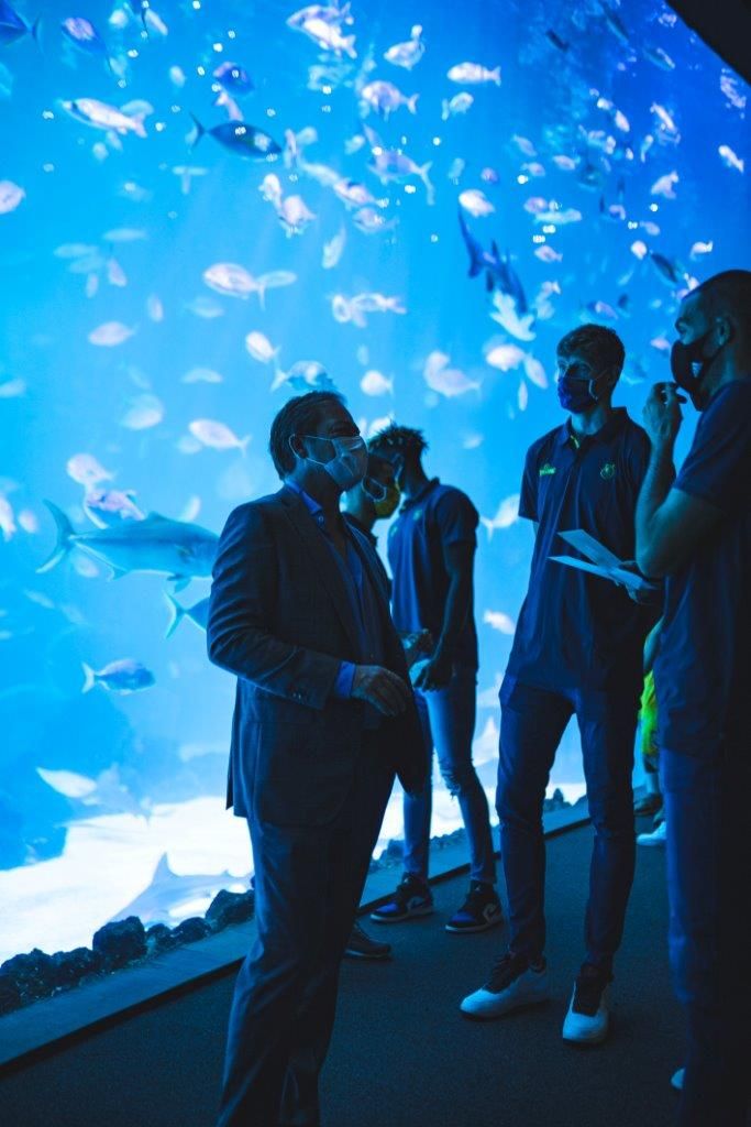 El acuario Poema del Mar y el Club Baloncesto Gran Canaria presentan la continuidad de su patrocinio