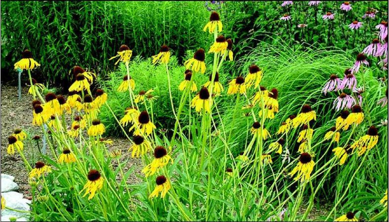 4v24n01 13070733fig02 Merca2.es