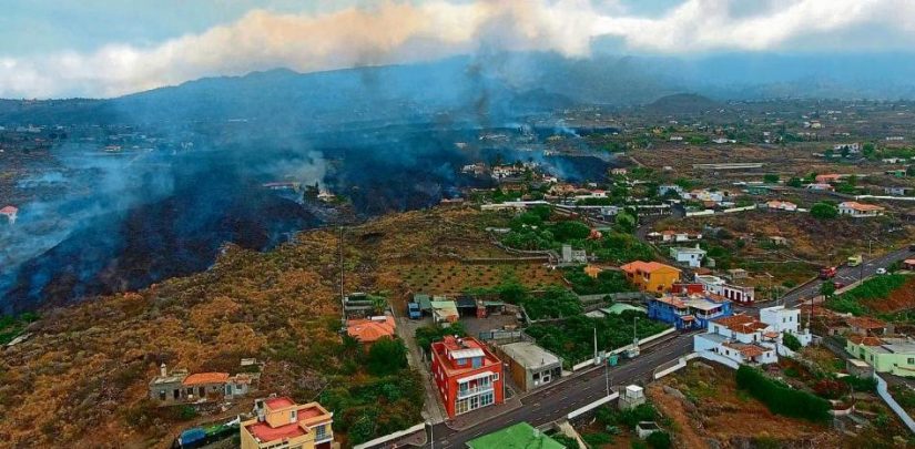 autonomos afectados la palma