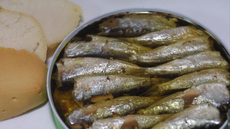 sardinas conserva con aceite