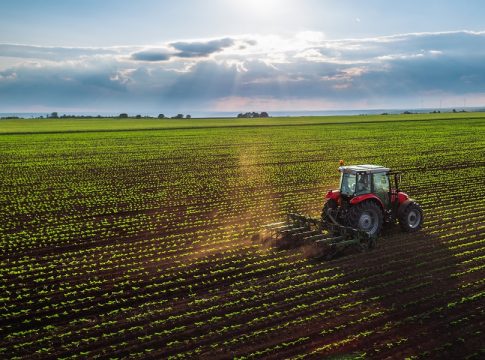 campo Ebro Foods Valley
