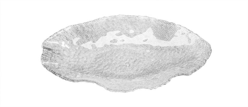 centro de mesa fosiles