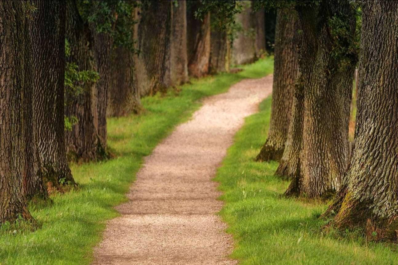 Luchar contra el cambio climático a través de los centros escolares con Ecoescuela