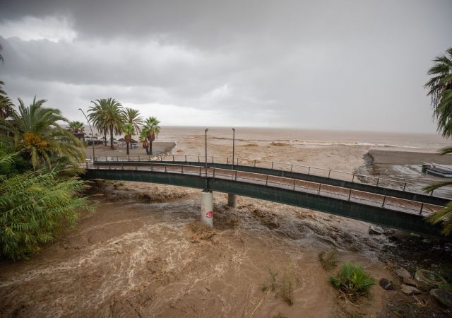 indemnizacion autonomos dana peritaje