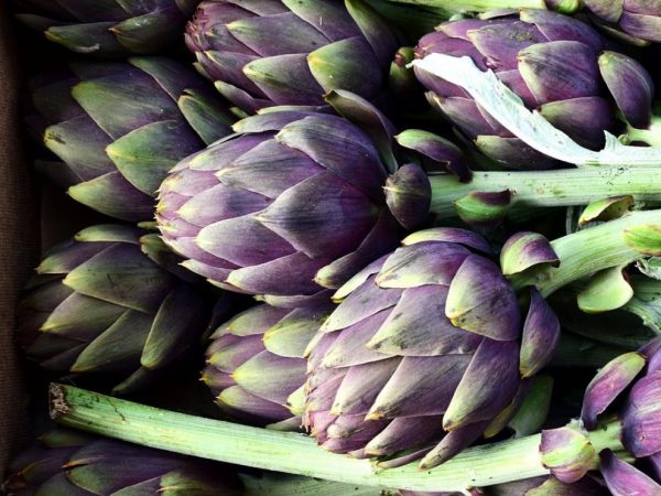 receta alcachofas sana