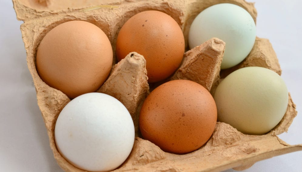 cuantos huevos comer a la semana