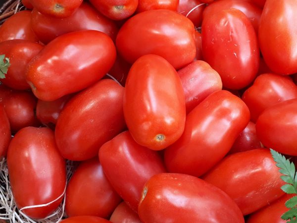 tomates de pera, hidrata piel, cáncer de piel