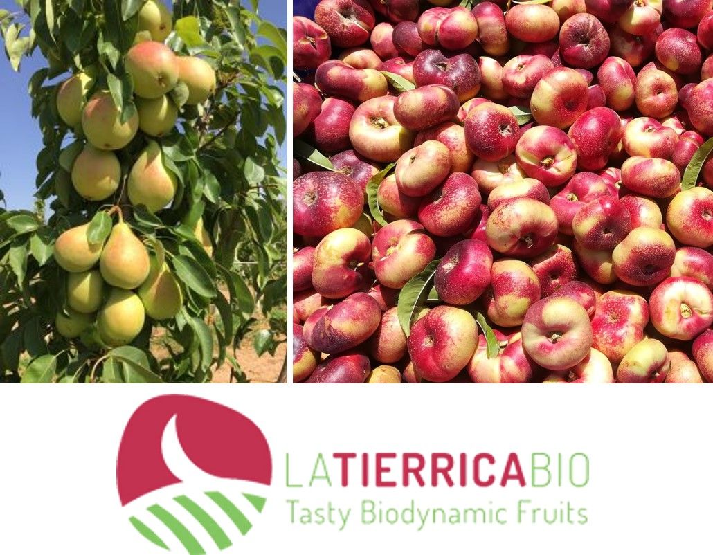 La consultoría CEDEC colabora con FRUTAS GARCÍA VARGAS y su marca de productos ecológicos LA TIERRICA BIO