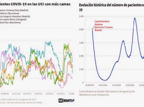 Datos de hospitalizaciones en España por Covid