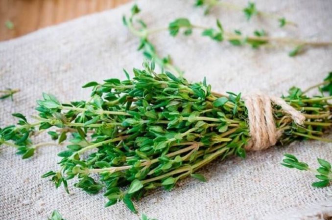 Remedios naturales para expulsar las flemas 26 Merca2.es Inhalaciones de tomillo y romero