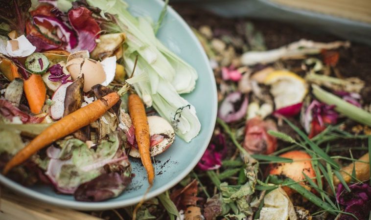 menos kilos de comida tirados a la basura