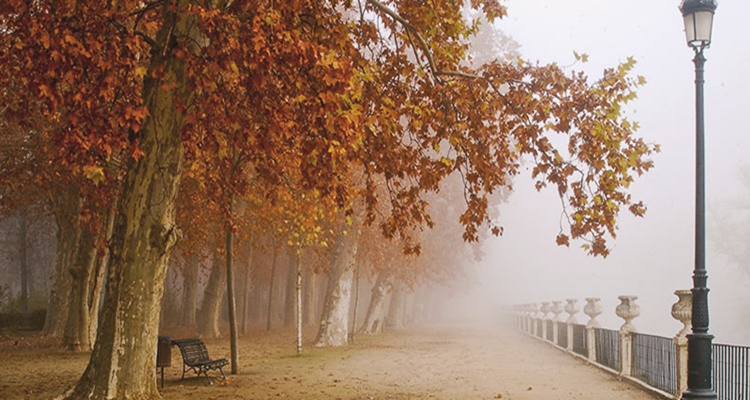 Parques Madrid Aranjuez otoño
