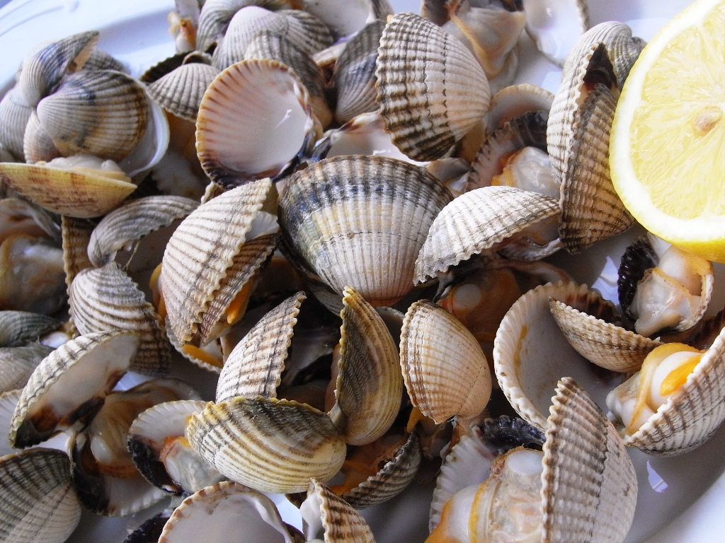 berberechos