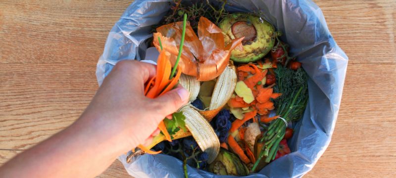 buenas practicas autonomos del sector de la alimentacion