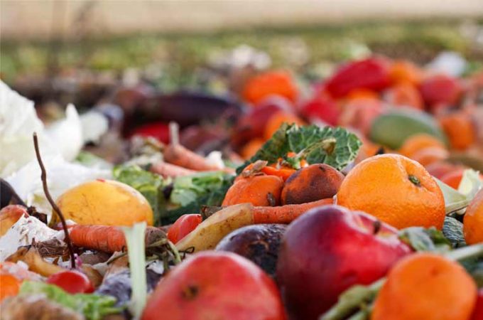 comida tirada a la basura