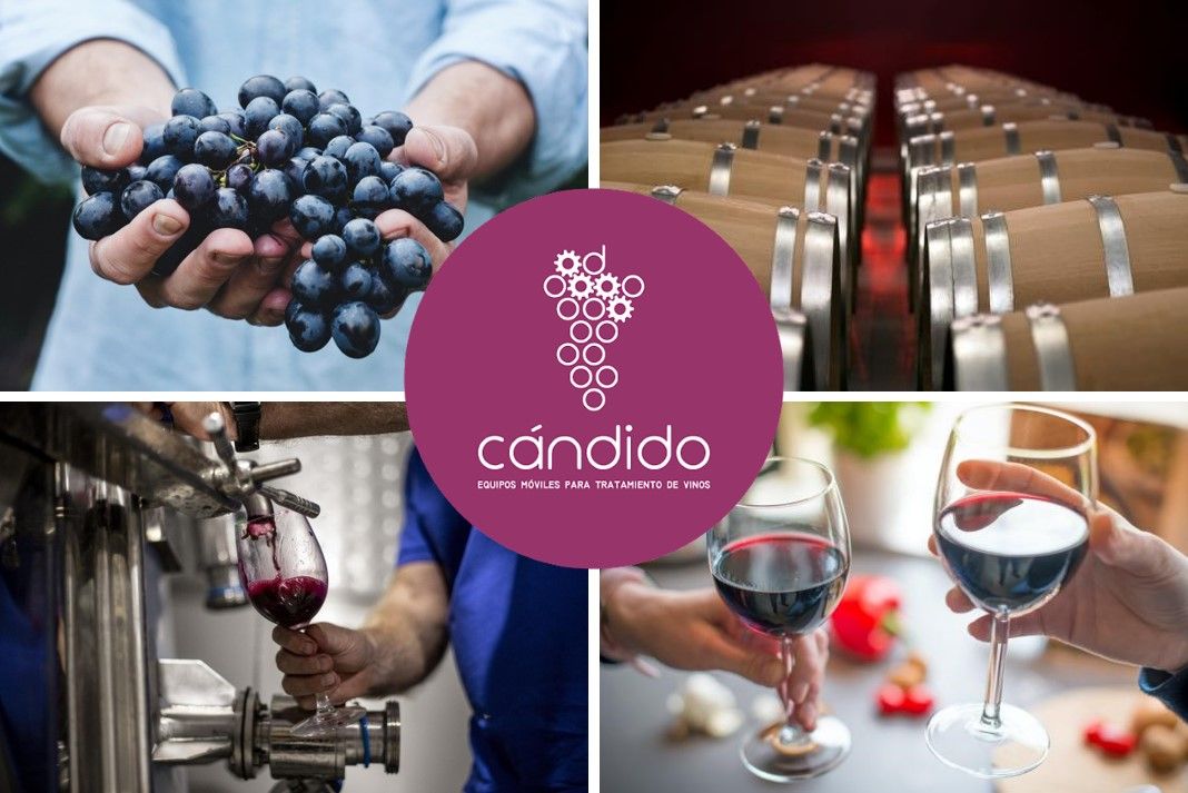 MULTINIVEL IBÉRICA obtiene el certificado de Calidad Empresarial CEDEC como reconocimiento por su gestión MULTINIVEL IBÉRICA obtiene el certificado de Calidad Empresarial CEDEC como reconocimiento por su gestión