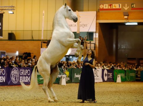 25. Campeón del Concurso de Exhibiciones, Sandra Borjas con INQUIETO DE VIDA del Centro Ecuestre el Rebolillo.
