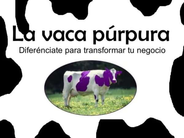 La vaca púrpura