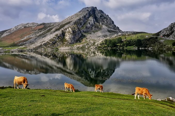 Lagos de Covadonga (Asturias)