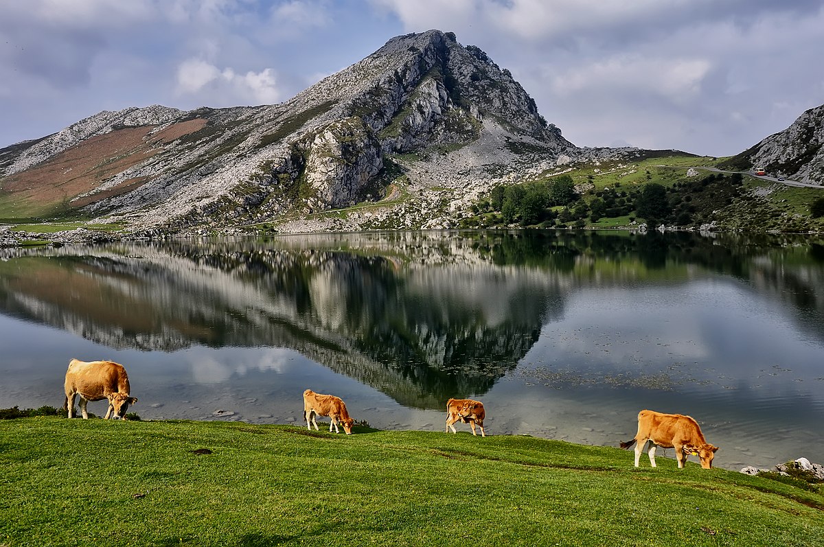 Lagos de Covadonga, un lugar paradisiaco en plenos Picos de Europa