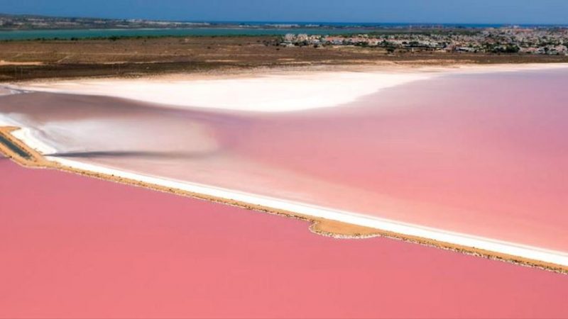 Laguna de Torrevieja (Alicante)