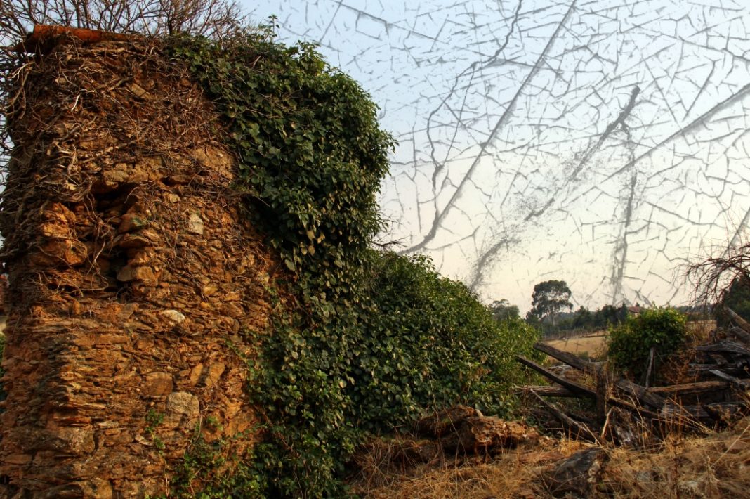 Parderrubias, dos mejor que una