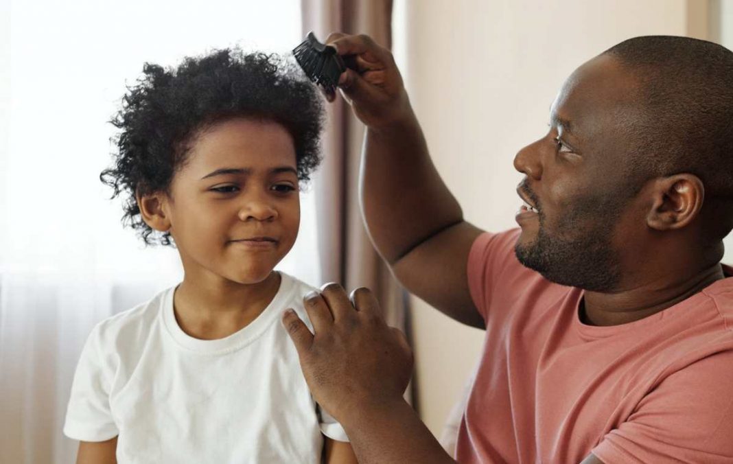 Peines eléctricos analizados por la OCU
