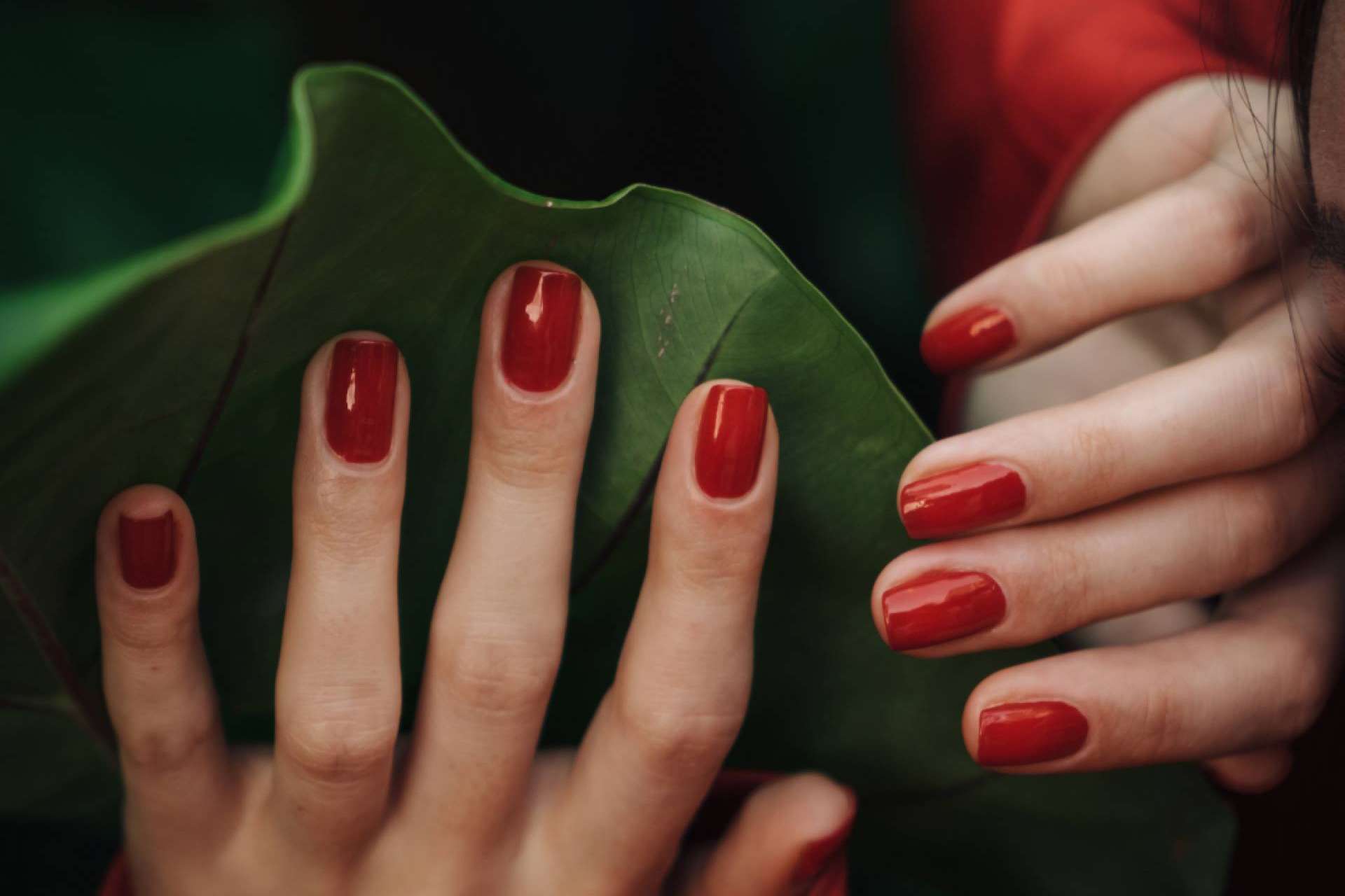Kunal Cosmetic, la revolución en la cosmética de los productos veganos, cruelty free y no tóxicos