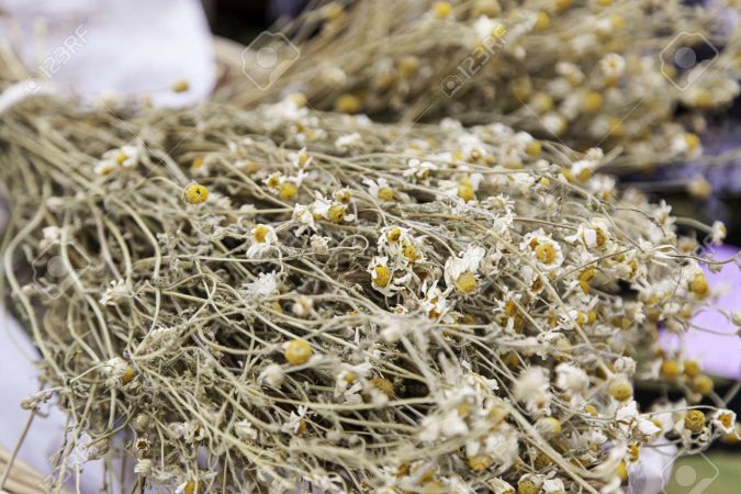 manzanilla seca Merca2.es