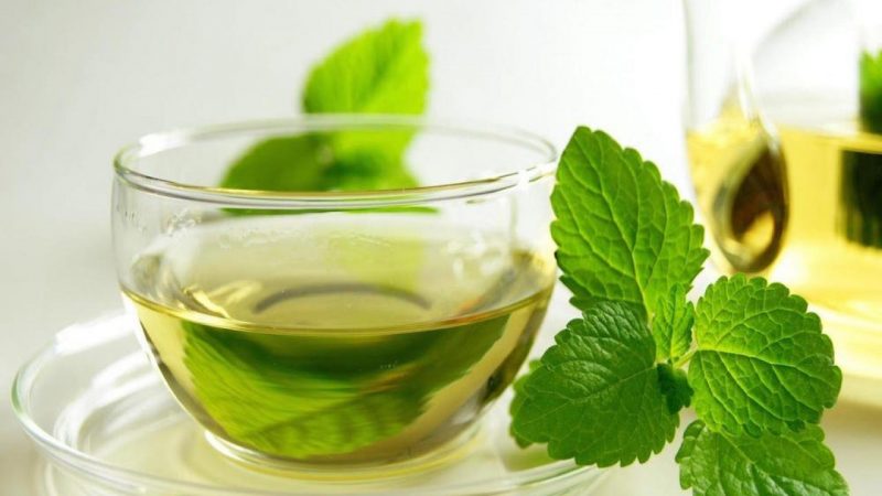  Té de menta