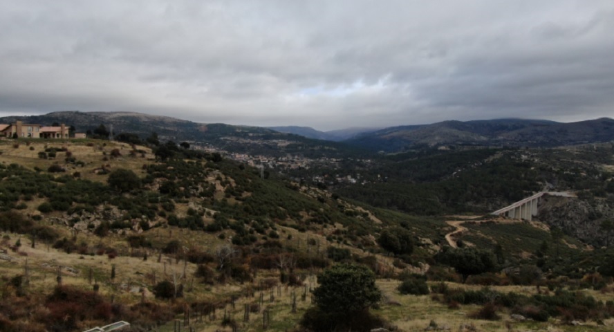 Drones de última generación para verificar la buena salud del bosque