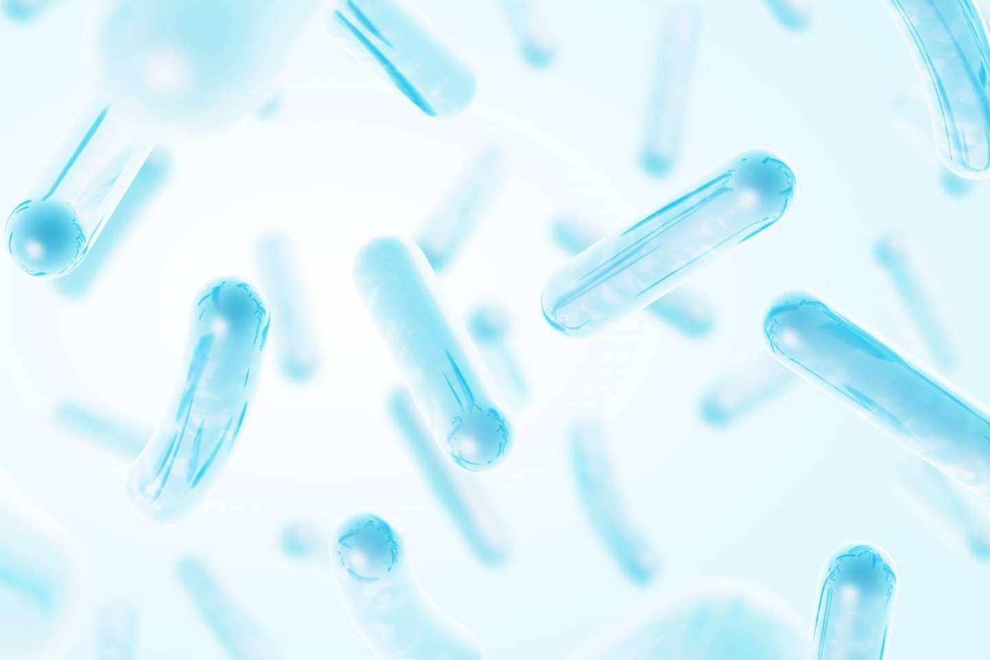 Tratamiento de microbiota con probióticos y prebióticos