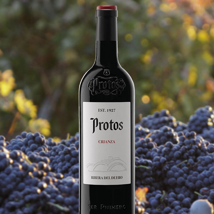 Protos