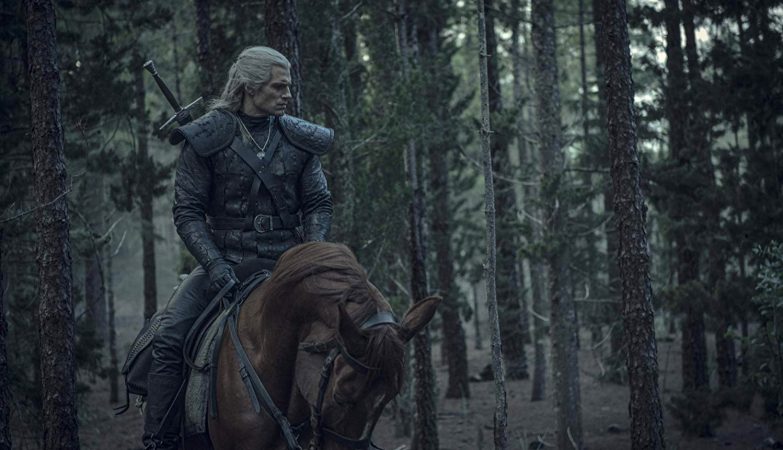 the witcher 