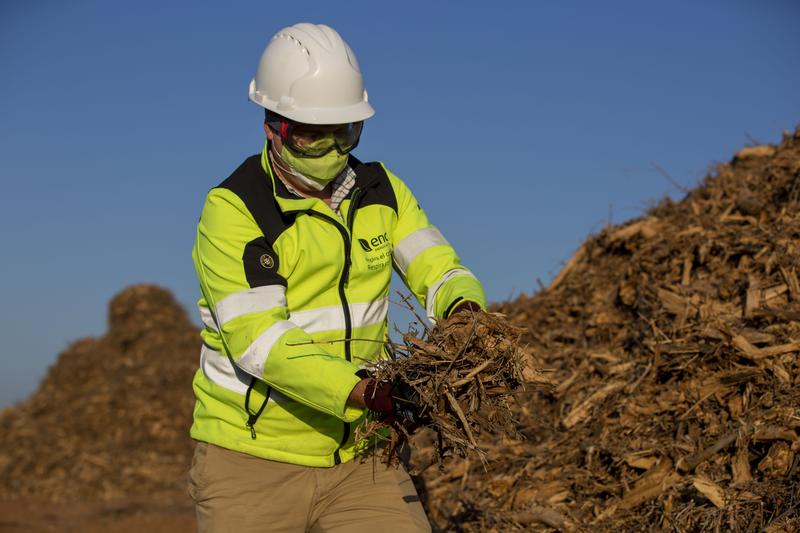 Ence valorizó millón y medio de toneladas de biomasa en 2021