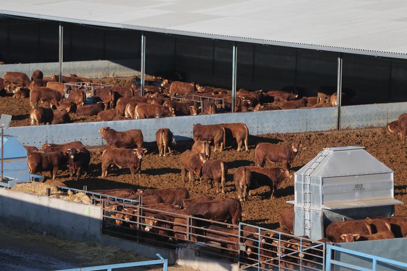 Unos 665.000 agricultores y ganaderos pueden pedir las ayudas directas de la PAC para 2022 desde este martes