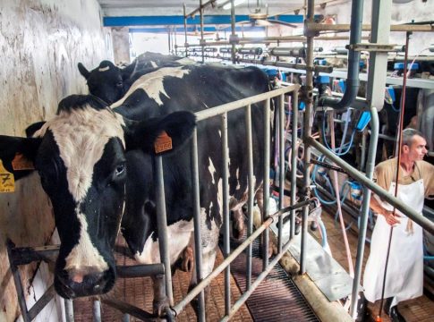 audiencia caso de la leche