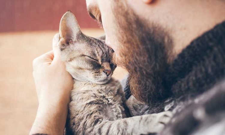 dormir con el gato Merca2.es