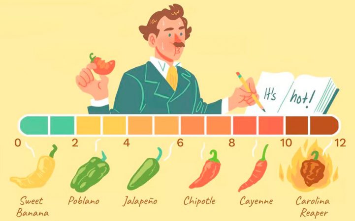Esto es lo que le pasa a tu cuerpo si abusas del picante 10 Merca2.es escala Merca2.es