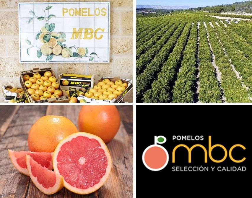 POMELOS MBC obtiene el certificado de calidad empresarial CEDEC y reafirma su colaboración con la consultoría POMELOS MBC obtiene el certificado de calidad empresarial CEDEC y reafirma su colaboración con la consultoría