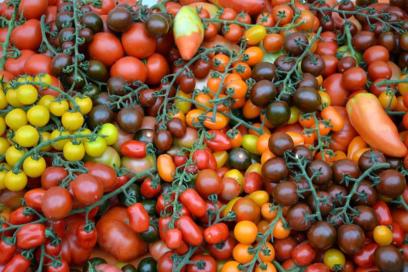 La inversión interna en I+D en el ámbito agroalimentario se elevó un 3,6% en 2020, hasta 845 millones La inversión interna en I+D en el ámbito agroalimentario se elevó un 3,6% en 2020, hasta 845 millones