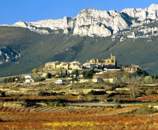 Laguardia Biasteri Bai Merca2.es