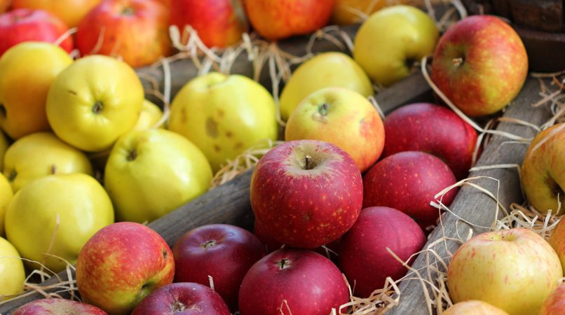 Podrías dañar los dientes