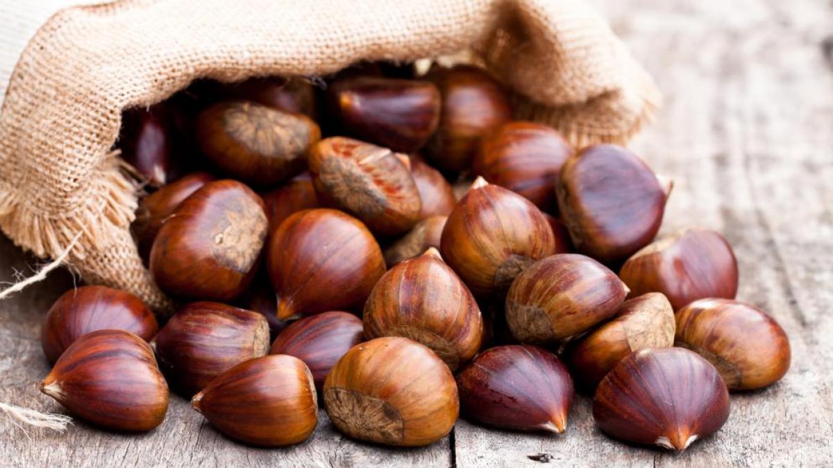 Si quieres perder peso incluye en tu dieta estos alimentos típicos del otoño