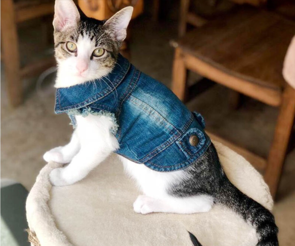 chaleco vaquero