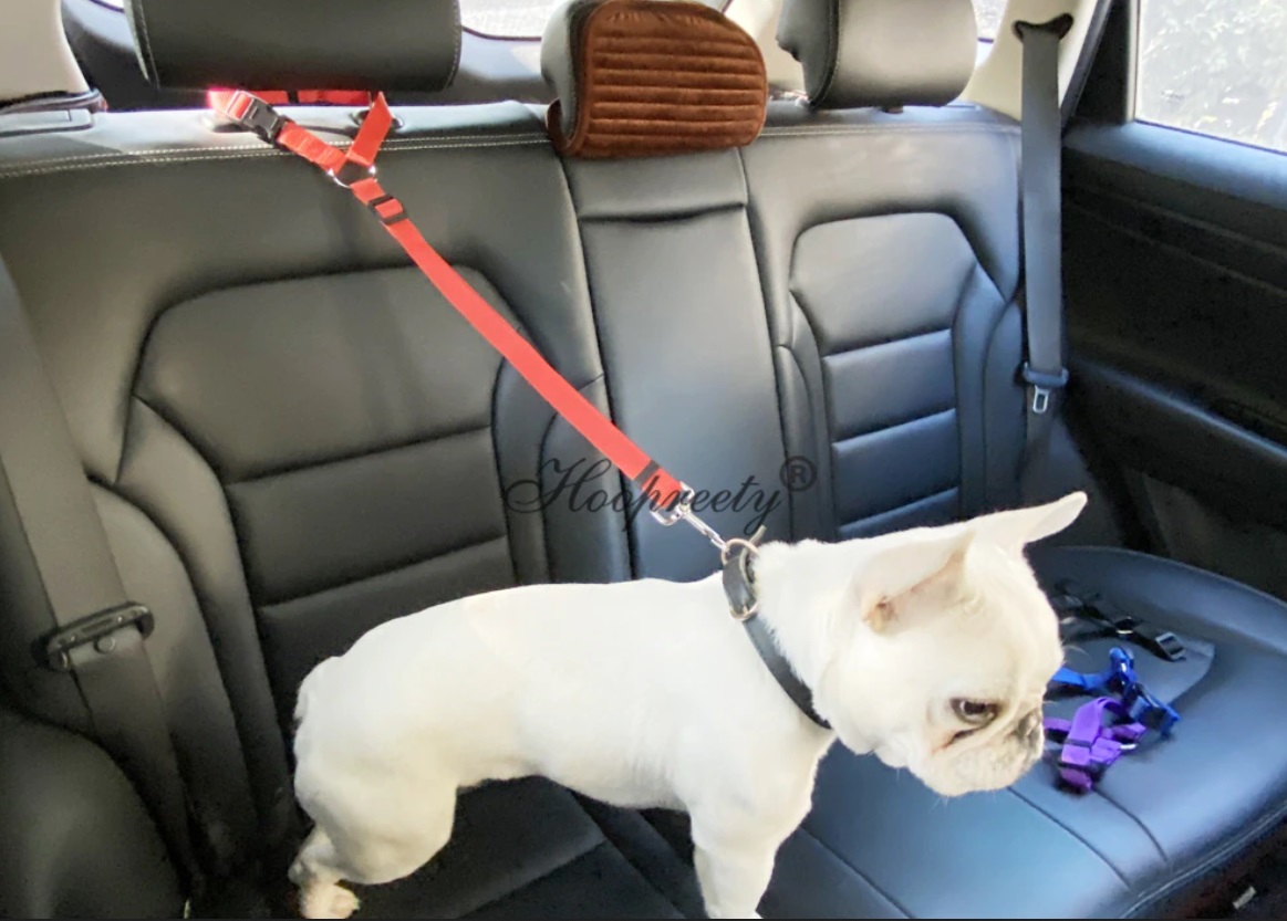 cinturón de seguridad