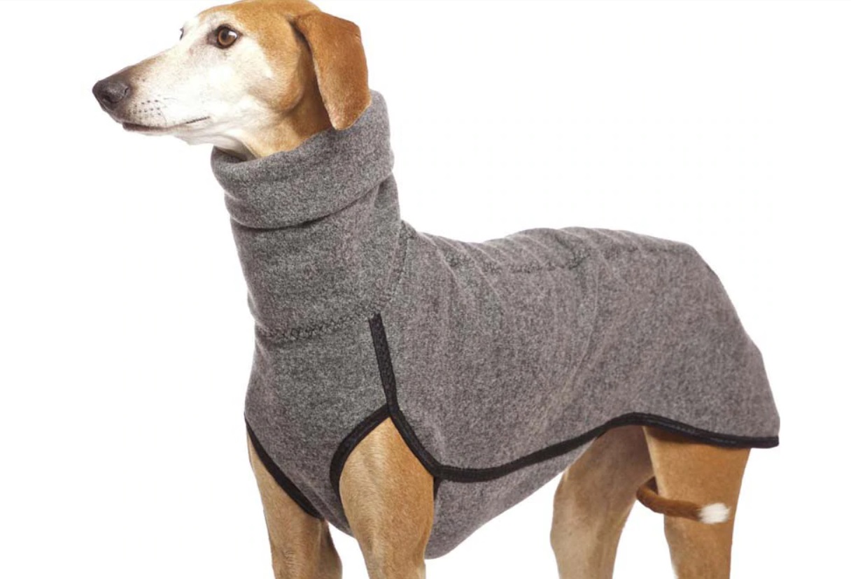 jersey para perros grandes