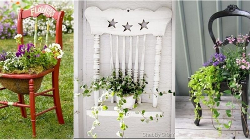 Hasta las sillas se renuevan: los otros usos que puedes darle 28 Merca2.es sillas