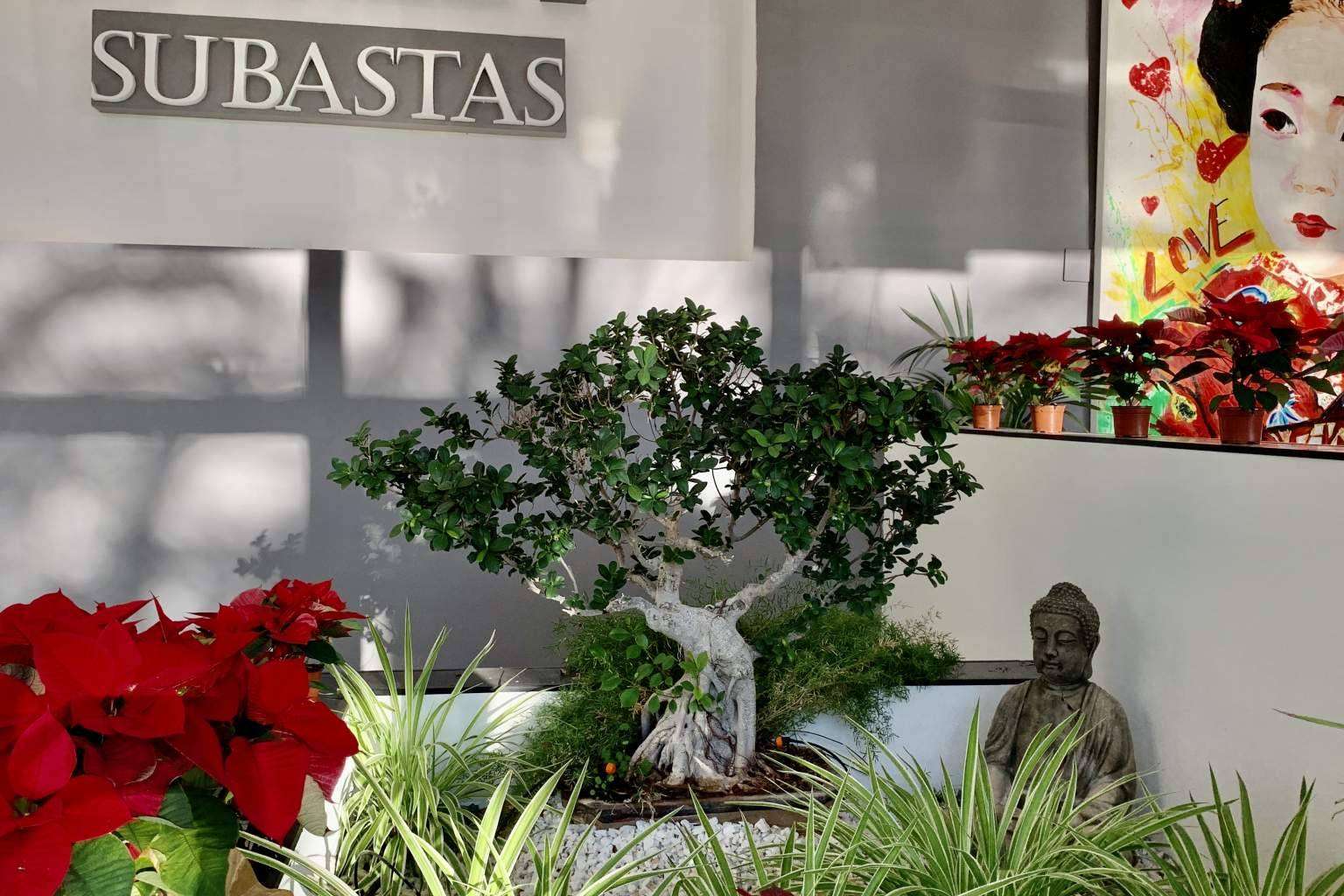 La casa de subastas de ámbito nacional e internacional, Subastas Darley